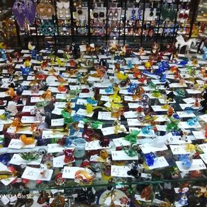 Meet your Posher, Sophia